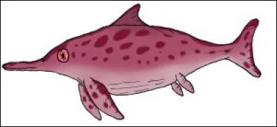 Comment s'appelle cette créature marine ?