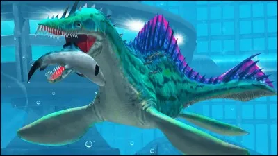 Comment s'appelle cette créature marine ?