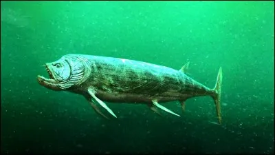 Comment s'appelle cette créature marine ?