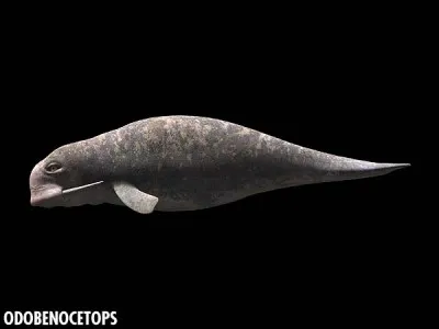 Comment s'appelle cette créature marine ?