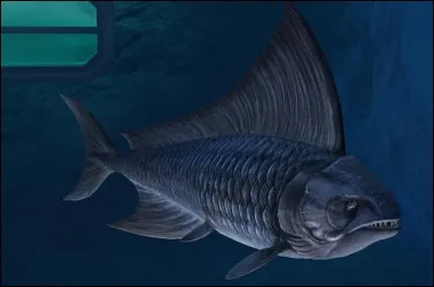 Comment s'appelle cette créature marine ?