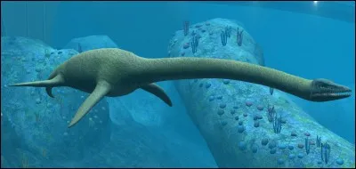 Comment s'appelle cette créature marine ?