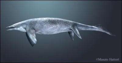 Comment s'appelle cette créature marine ?