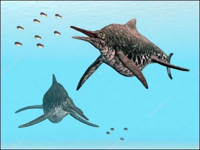 Comment s'appelle cette créature marine ?