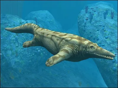 Comment s'appelle cette créature marine ?