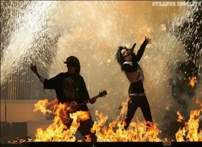 Parmi leurs groupes prfrs ils citent rgulirement...