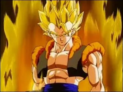 Nous arrivons à 2 questions de la fin et nous retrouvons Gogeta ou Vegeto. Une seule réponse est correcte. Laquelle ?