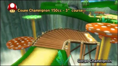 Comment s'appelle ce circuit ?