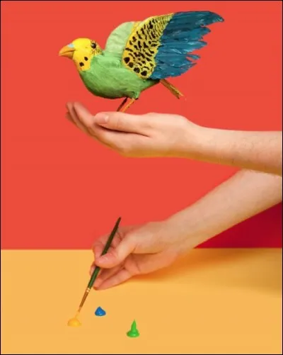 Aux Etats-Unis, dans le Michigan, il est illégal de peindre des moineaux pour les vendre en tant que perruches !