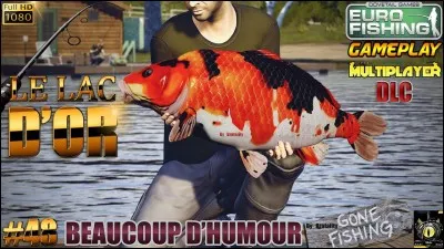 Et pour finir, encore et toujours aux Etats-Unis, dans le Vermont, il est interdit de siffler sous l'eau !