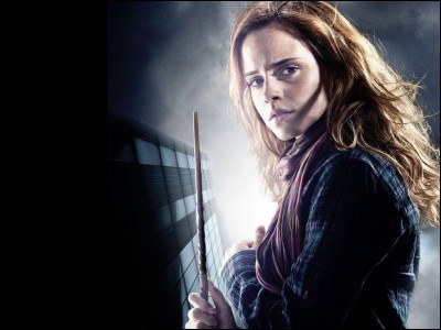 Qu'est-ce qu'il y a dans la baguette d'Hermione Granger ?
