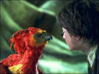 Qu'est-ce qu'il y a l'intérieur de celle-ci ?