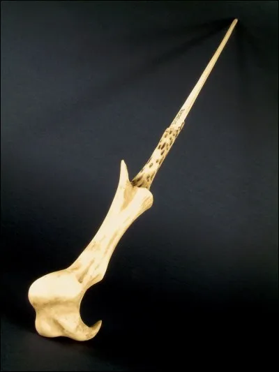 En quel bois est faite la baguette jumelle de celle de Harry ?