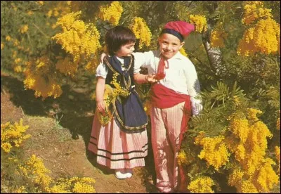 De quelle ville sont ces costumes ?