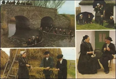 De quel département est ce "groupe maraichin du Pays-de-Monts" ?