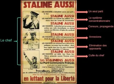 Quel est le point commun entre les deux partis d'Hitler et Staline ?