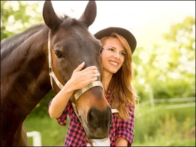 Lequel de ces choix n'est pas une race de cheval ?