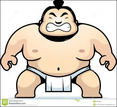Quel est le nom du pagne porté par les lutteurs de sumo ?