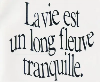 Qui est le réalisateur du film 'la Vie est un long fleuve tranquille' ?