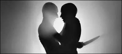 'La nuit des Longs Couteaux' fait référence a une série de meurtres perpétrés par qui ?