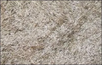 Quel est ce type de litière ?