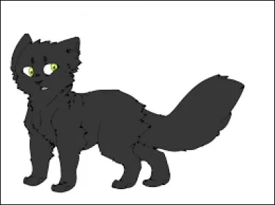 Qui est son compagnon ?