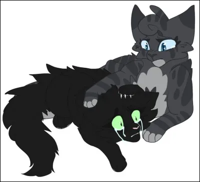 Que fait son compagnon ?