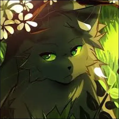 Quel est son nom anglais ?