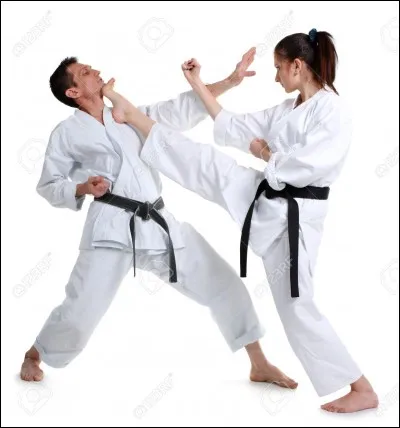 D'où vient le karaté ?