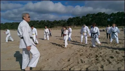 D'où vient le karaté ?