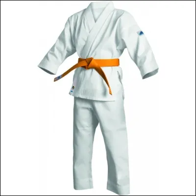 Que doit porter un karatéka ?