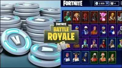 Quel est le nom de l'argent dans Fortnite ?
