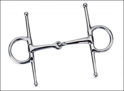 Comment s'appelle ce mors ?