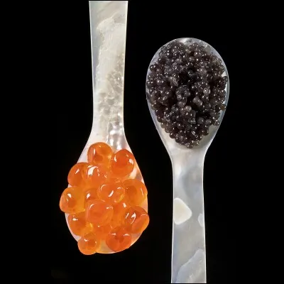 Le caviar est un aliment élaboré à partir des ufs d'esturgeon.