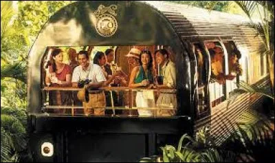 Ce train est limité à 60 invités. Imaginez-vous au départ de Singapour, traversant la Malaisie pour rejoindre Bangkok et parcourant plus de 2 000 km en trois jours. Bien assis dans votre suite climatisée, en sirotant votre café, devant une vision luxueuse grâce à une superbe fenestration, en attente pour vous rendre à l'un des wagons restaurants, probablement celui avec le chef français.