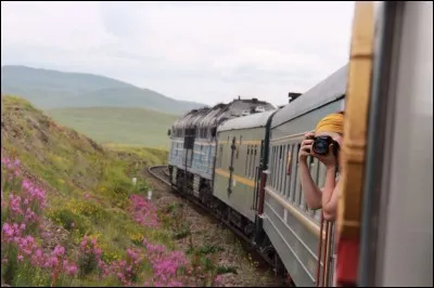 Suggestion d'arrêter à Irkoutsk et à Ekaterinbourg, pour ce long parcours (environ 7000 km) et d'opter pour la seconde classe, quoique la question du confort est relative à chacun.
Vous verrez steppes et chevaux, yourtes à perte d'horizon puis la Chine avec son architecture, son histoire et sa bouffe.