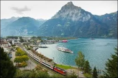 Ce train qui effectue l'itinéraire le plus élevé en altitude à travers les Alpes, relie l'Europe du Nord et l'Europe du Sud. Rien que du très spectaculaire, il traverse les paysages des Grisons, faisant 55 tunnels et 196 ponts et des montées à plus de 70%. 
Depuis 2008, une partie de la ligne fait même partie du patrimoine mondial de l'UNESCO.