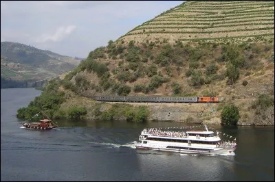 Cette région du Portugal est répertoriée au patrimoine mondial de l'Unesco pour la qualité de ses vins et la beauté de ses paysages. Imaginez aux vendanges, les plateaux de vignes à portée de vue. Autre voyage hors du temps, le train est accueilli à grands gestes d'amitié par ceux qui se retrouvent sur son passage : l'ambiance fait partie du forfait.