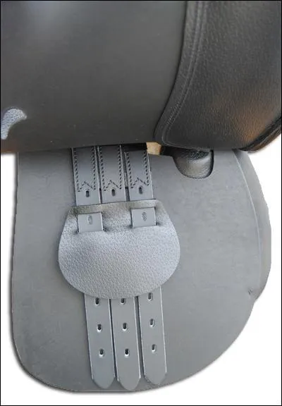 A quoi sert le 3 sanglons ?