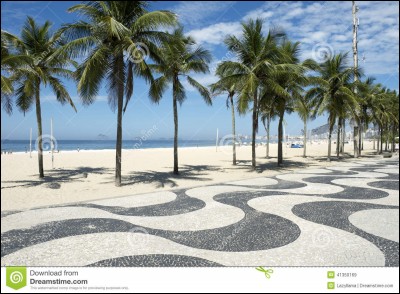 Cochez le pays où vous verrez la plage de Copacabana ?