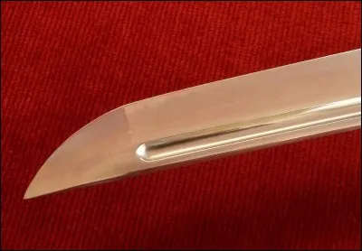 La partie visible de la lame "montée" se nomme :