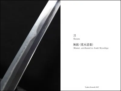 L'épaisseur/ le profil de la lame se nomme :