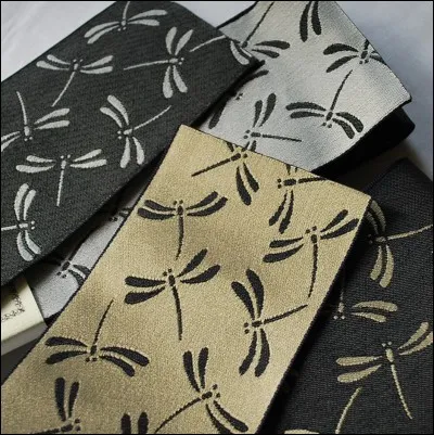 La ceinture large que portent les pratiquants s'appelle :