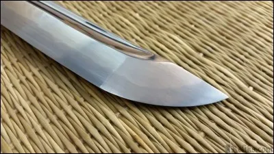 La pointe biseautée de la lame se nomme :