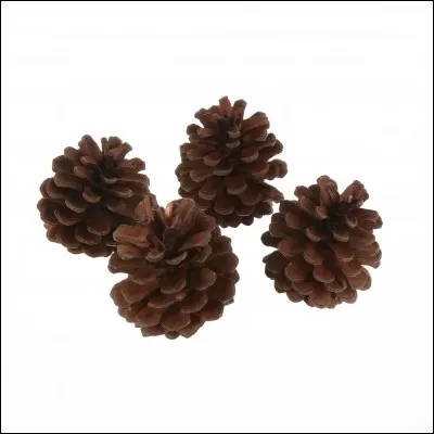 Il y a une pomme de __ au sol.