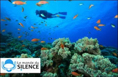 À qui doit-on "Le monde du silence" ?