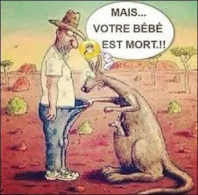 Animaux : le kangourou est un animal emblématique de l'Australie. Mammifère marsupial, on en compte environ quarante millions d'individus dans ce pays. Il existe quatre grandes espèces : le kangourou roux, le kangourou géant, le kangourou gris et le kangourou antilope. La femelle donne naissance à 1 petit, combien de temps, environ, son enfant reste-t-il dans sa poche ?