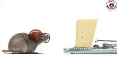 Gastronomie/ géographie : le gruyère est un fromage suisse au lait de vache entier, à pâte pressée cuite, mais au lait cru. Sa meule, de forme ronde, et de dimensions : pour sa hauteur, de 9,5 à 12 cm, de 55 à 65 cm, concernant son diamètre, pour un poids allant de 25 à 40 kg, il tire son nom de la Gruyère. Dans quel canton se trouve ce lieu ?