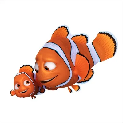 Comment s'appelle le père de Nemo ?