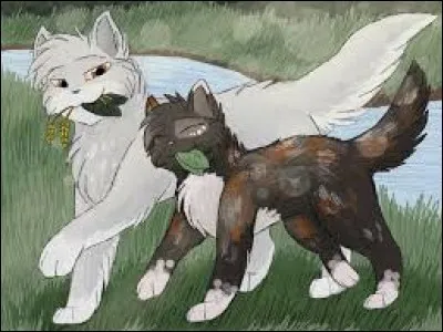 Qui est son apprenti(e) ?